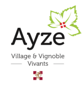 Ayze